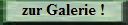 Galerie Ehrenabend 2009